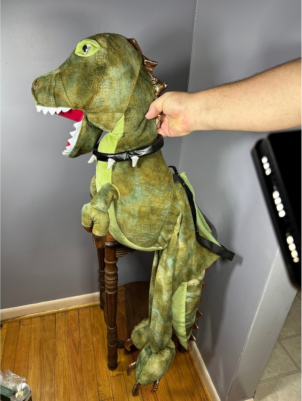 Ministry of Rascals Kids T-Rex Ride-On Dinosaur Costume Size 3-7 Yrs EUC